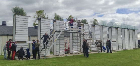 Visitors experiencing the unique 12 root towers