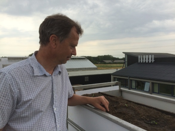 Kristian Thorup-Kristensen is inspecting the first plants in the towers