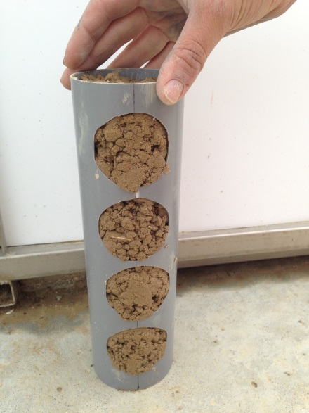 Ingrowth cores with roots and soil collected from root towers
