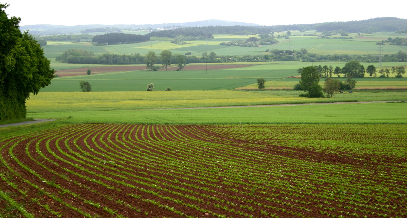 You can gain an overview of the status and preliminary results from the research projects regarding integrated pest management  under the auspices of C-IPM at a workshop in Paris in November 2018. Photo: Janne Hansen