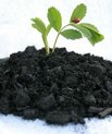 A new project will further explore and develop the use of biochar based fertilizers, based on recycling of farm and forest residues. Photo: Colourbox