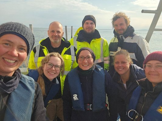Photo of people at sea