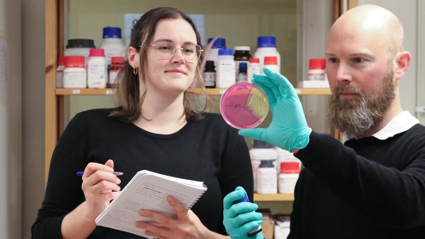 Rachel Feeney, PhD Student, and Björn Schröder, Docent in infection biology, the Department of Molecular Biology at Umeå University. Image: Anna Shevtsova