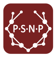 Past Social Networks Project Logo