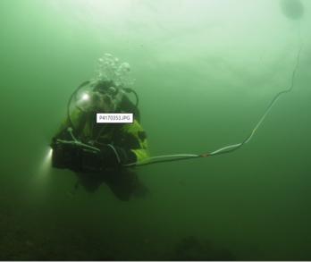 Underwater photo of diver