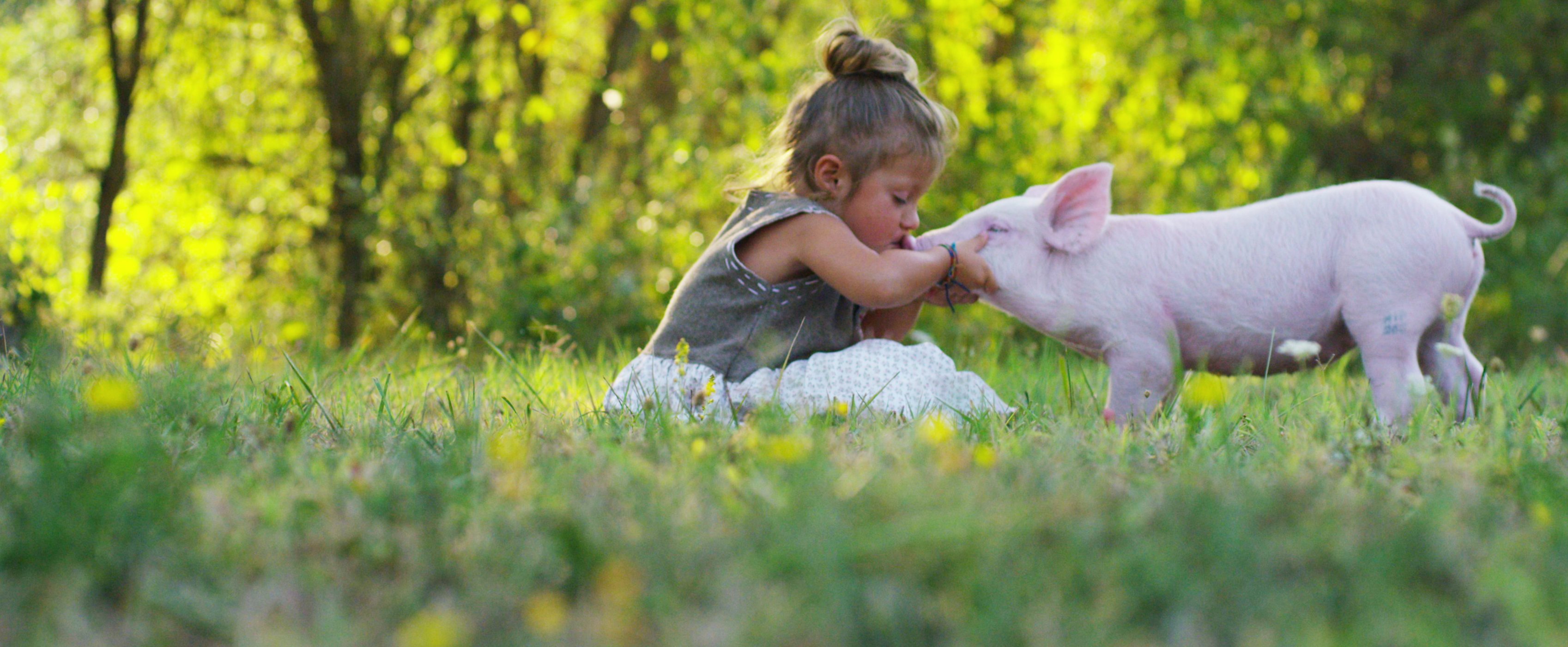a little girl kissing a piglet