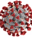Coronavirus as a gray ball with red spikes