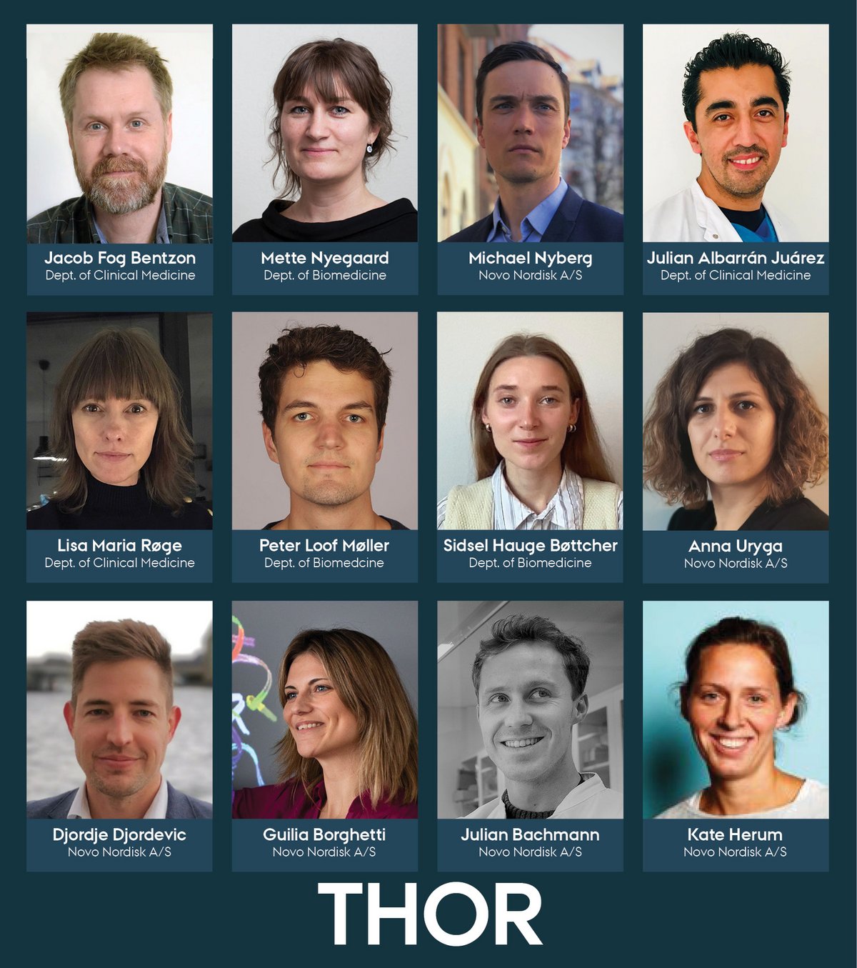 Meet the THOR team
