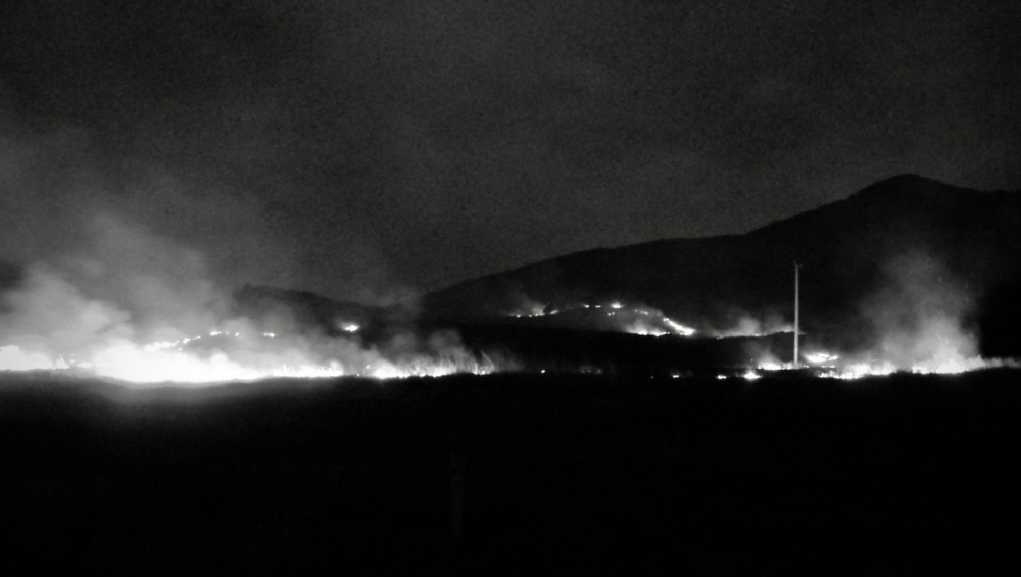 Burning heathland