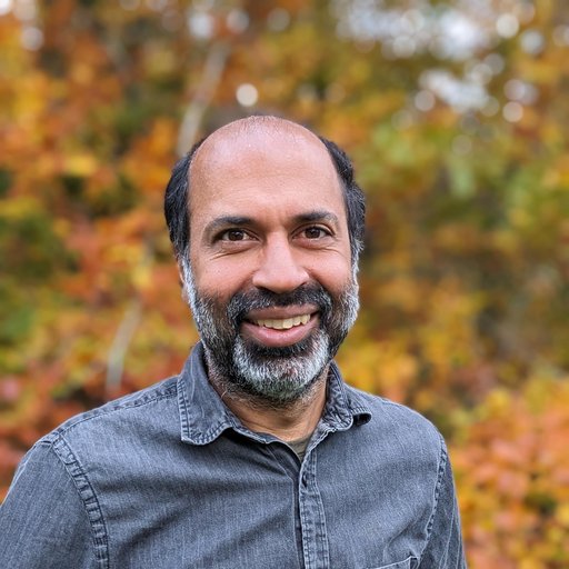 Professor Sarang Dalal (Center of Functionally Integrative Neuroscience, Aarhus University).