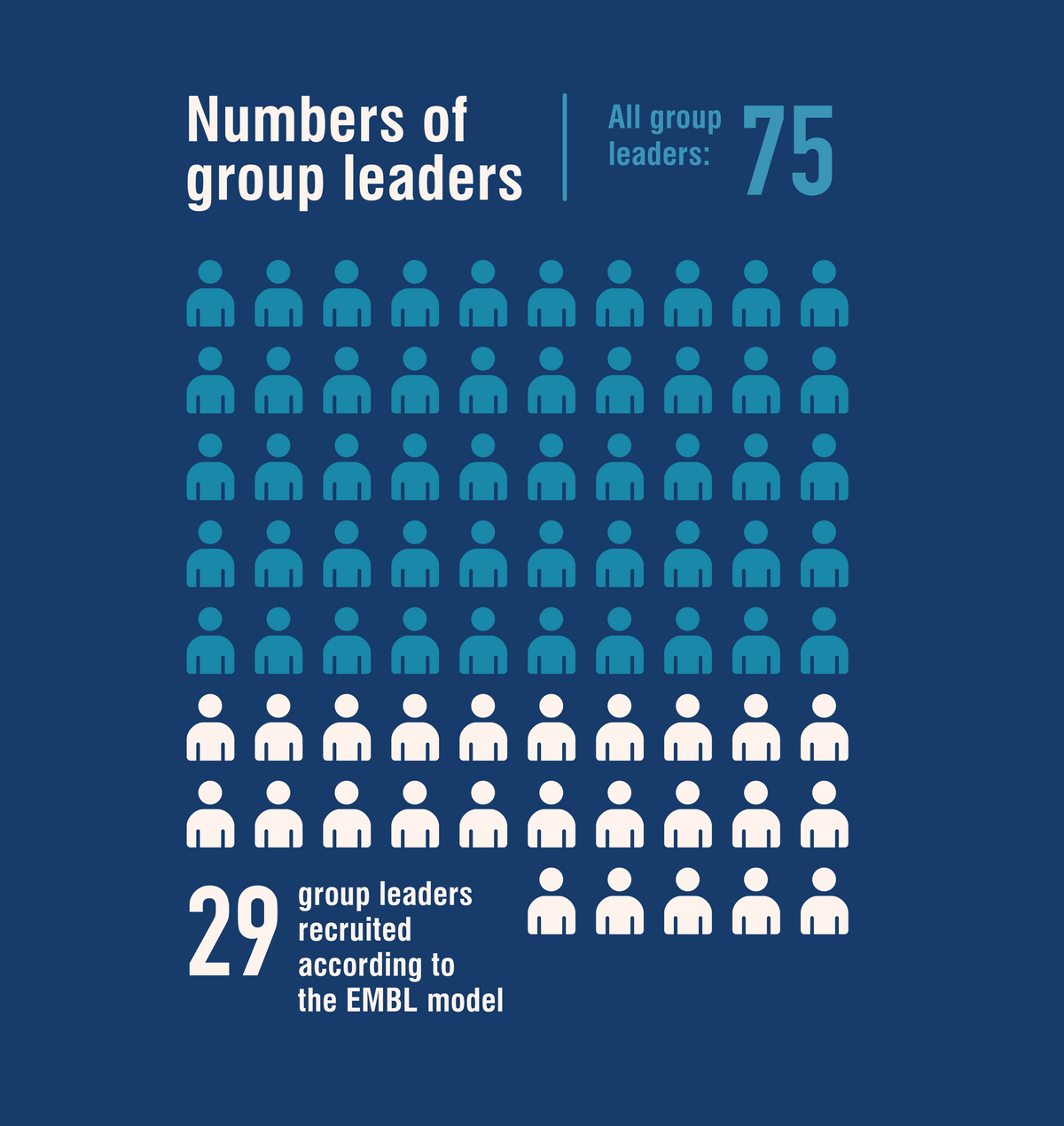 infographic showing figures to represent numbers of group leaders