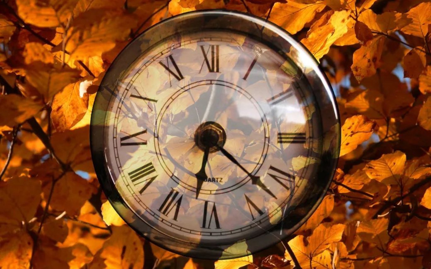a clock in a pile of leaves