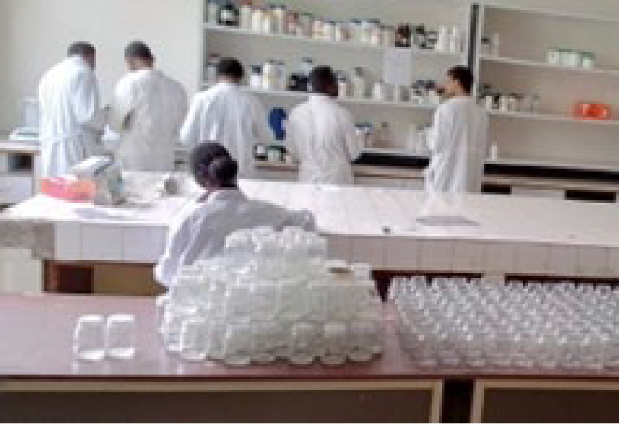 Tissue culture related activities in the lab.