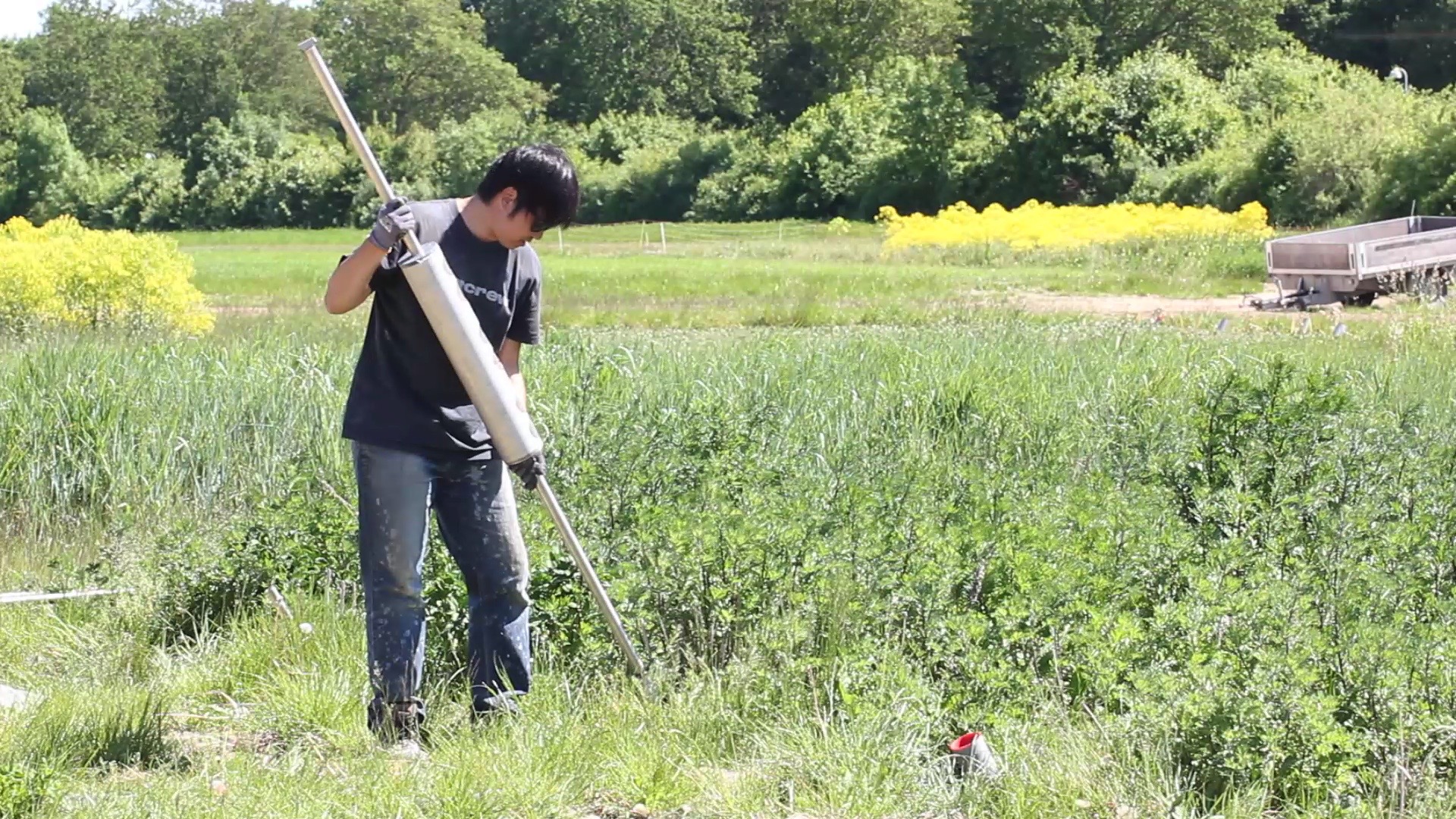 Insertion of ingrowth core into access tube in the filed facility, called the Deep Root Lab