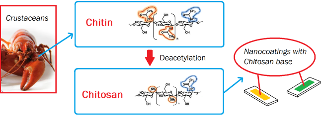 Shows a lobster and the chemical structure of chitin and chitosan and coated microscope glass. Shows that chitin from crustacean shells are used as chitosan via deacetylation in nanocoatings.