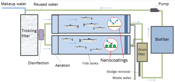 A schematic of a recirculating aquaculture system with anti-biofilm coatings in the fish tanks.