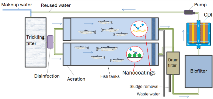 A schematic of a recirculating aquaculture system with a CDI. The fish tanks have anti-biofilm coatings.