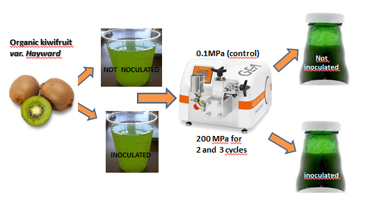 HPH treatment on organic Chinese gooseberry juice (F.Patrignani)